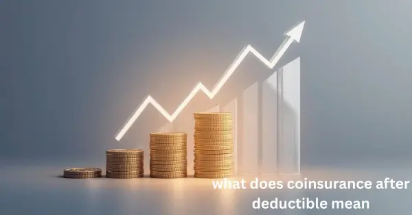 what does coinsurance after deductible mean